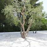 Διαμέρισμα Luoghi Di Puglia